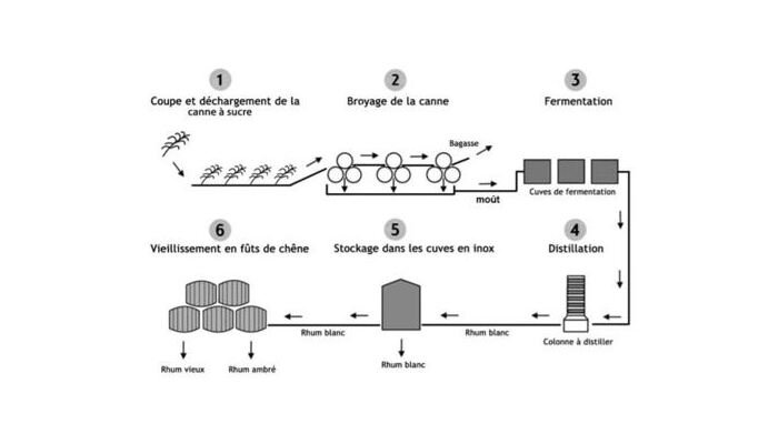 Schéma fabrication du rhum